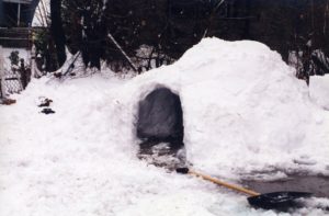 Snow shelter for a snowstorm