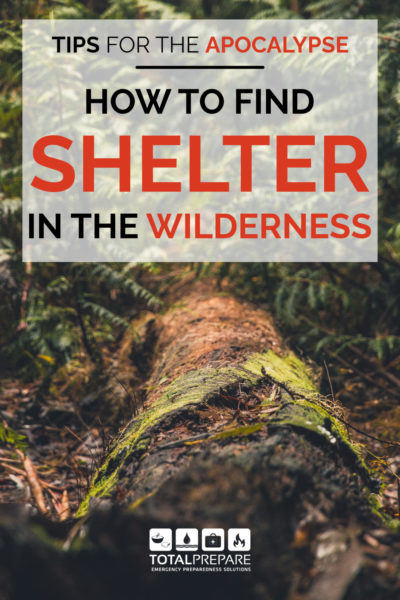 An image of a log covered in moss. It has the words "tips for the apocalypse: how to find shelter in the wilderness" overlaid on top, as well as the Total Prepare logo.