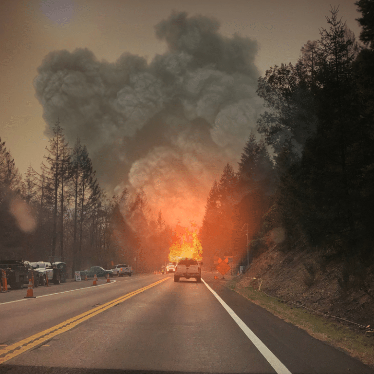 BC Forest Fires: Causes, Impacts, and Management Strategies