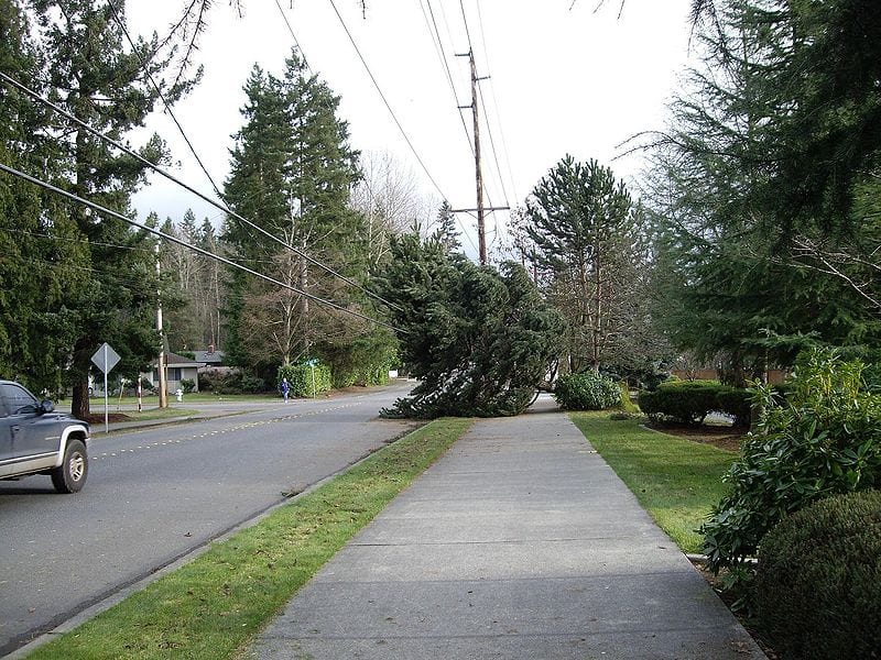 How to Stay Safe During Windstorms