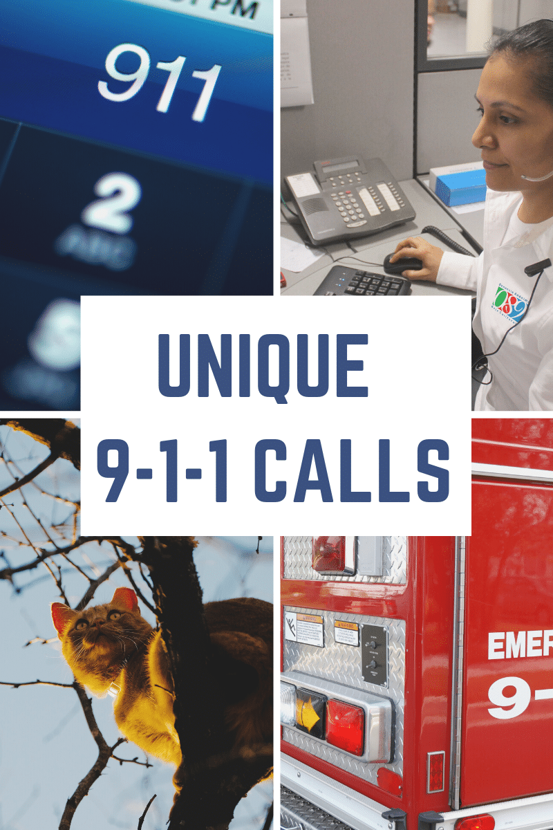 911 Calls: Unique, Genius, and Strange Examples