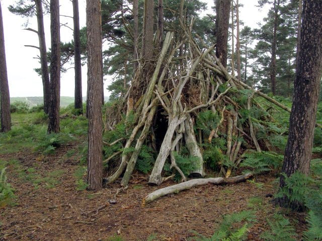 Your Quick Camping Survival Guide (Part 6: How to Build a Shelter)