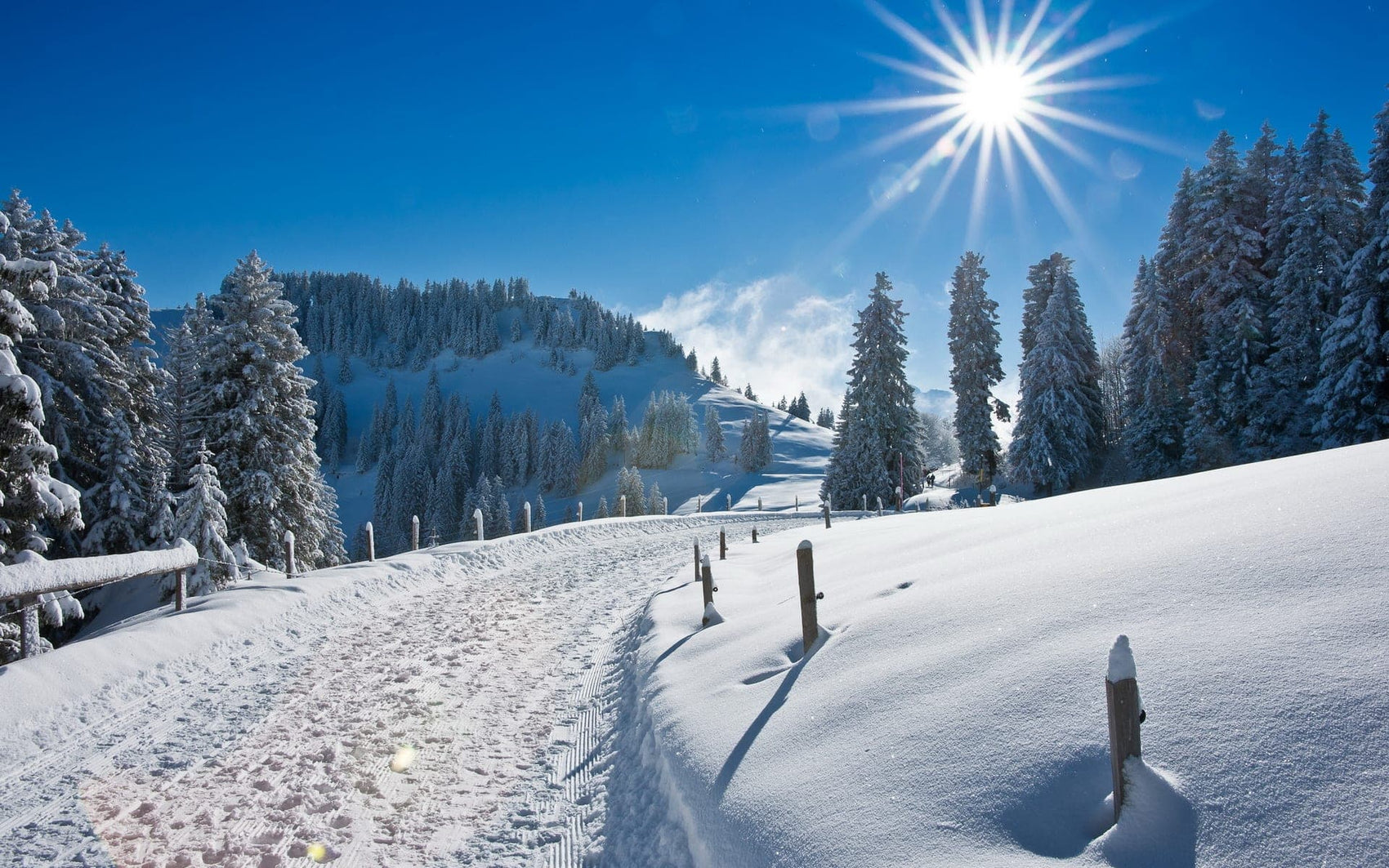 Planning A Great Winter Road Trip