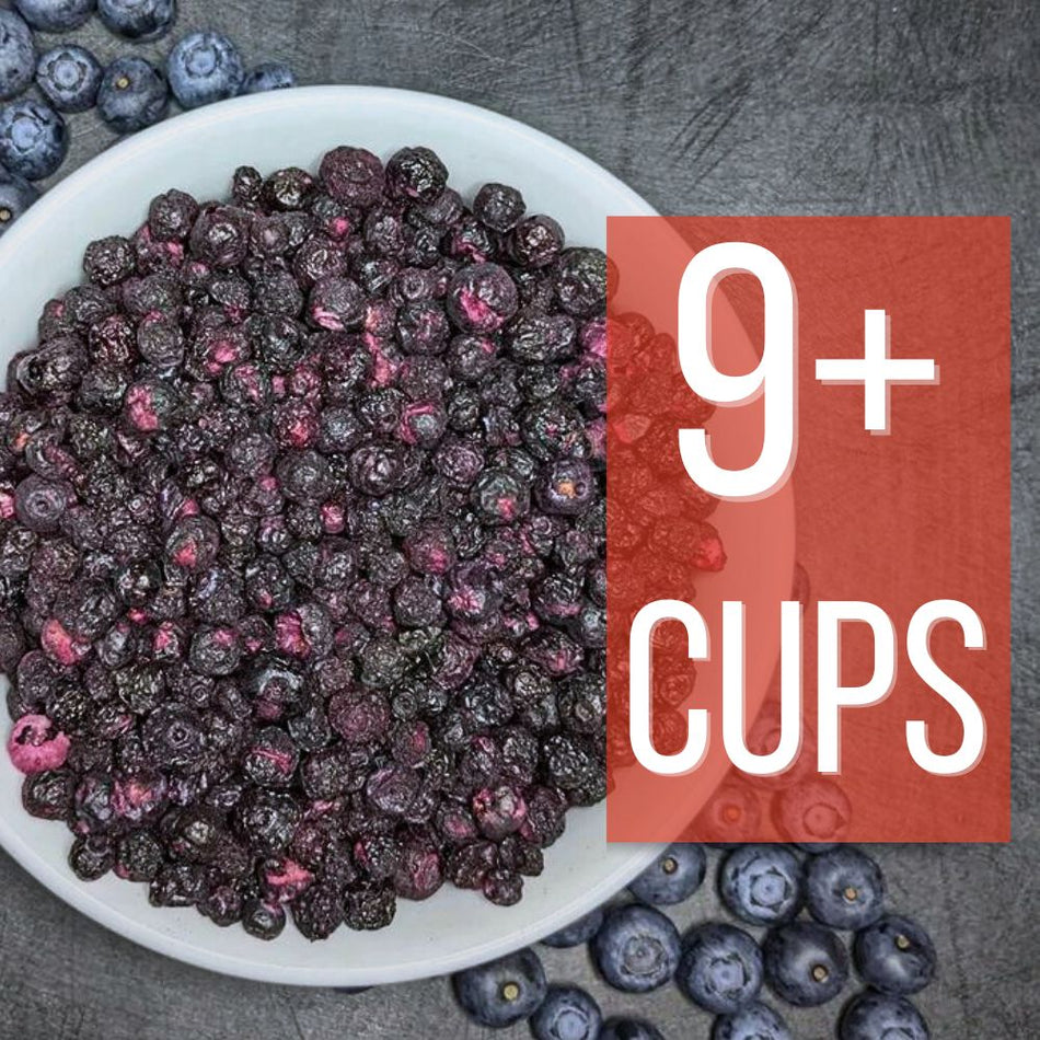 Freeze Dried Blueberries 300g
