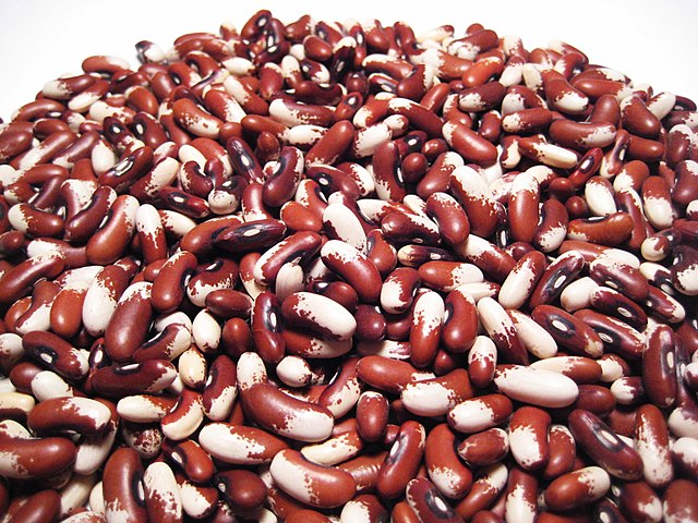 Dried Beans and Lentils for food storage