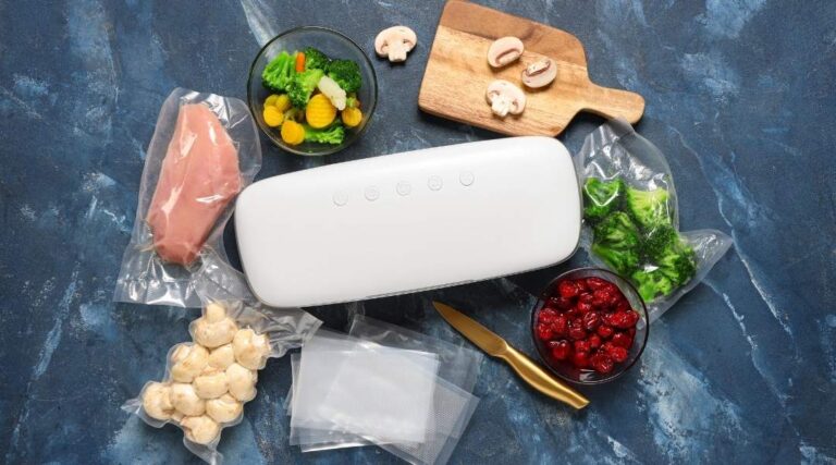 Food saver food vacuum sealer surrounded by food