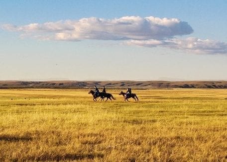Horseback on the prairies