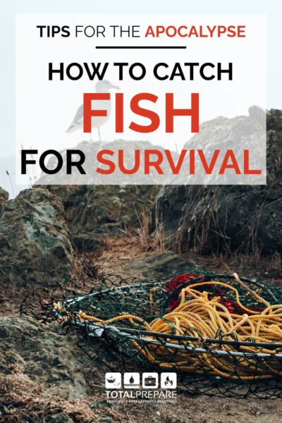 How to Catch Fish for Survival