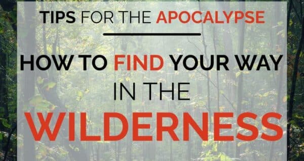 A forest background with text overlay that reads Tips for the Apocalypse: How to find your way in the wilderness.