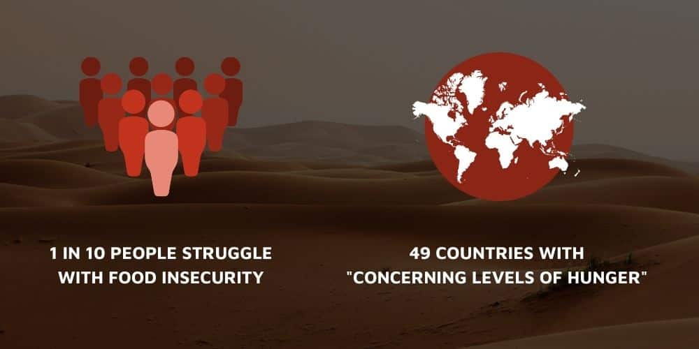 Food Shortage statistics. 1 in 10 people struggle with food insecurity. 49 Countries have a "concerning level of hunger"