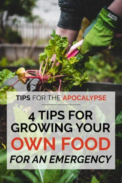 Blog feature image for 4 tips for growing your own food for an emergency