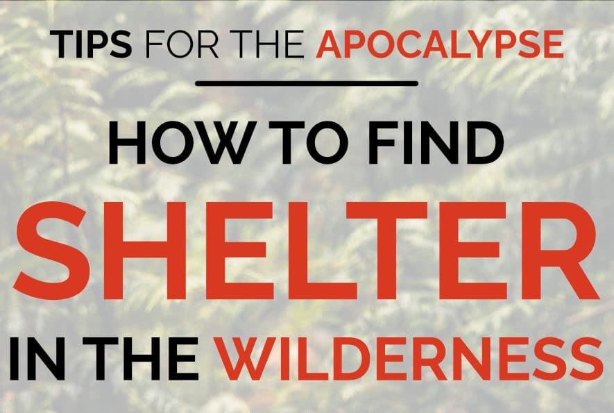 An image of a log covered in moss. It has the words "tips for the apocalypse: how to find shelter in the wilderness" overlaid on top, as well as the Total Prepare logo.