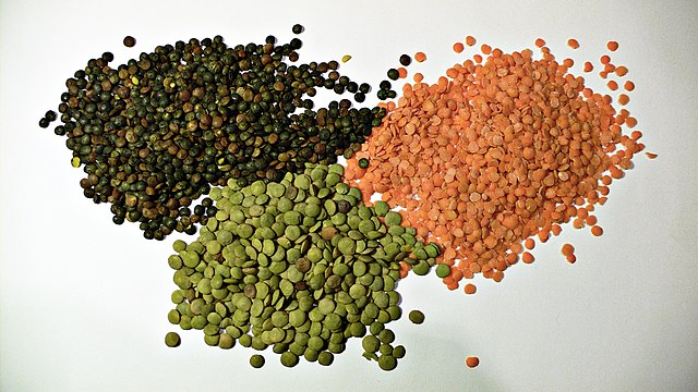 Dried Beans and Lentils for food storage